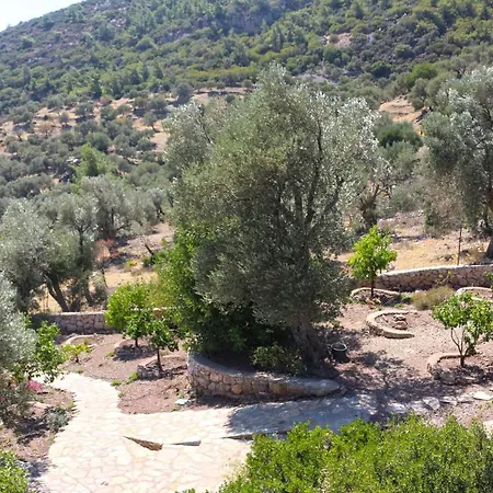 Zephyros Hotel-2