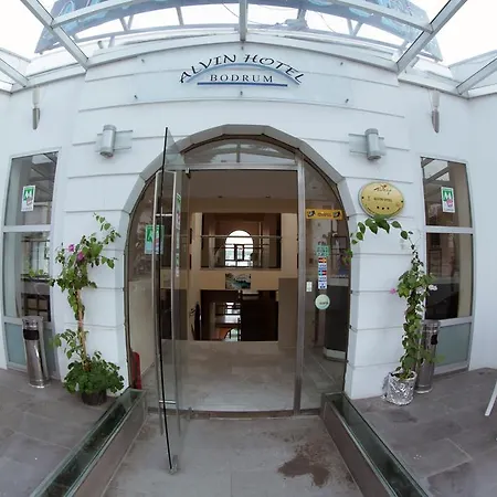 Alvin Hotel-2
