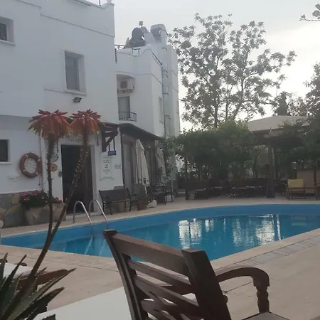 Bitez Otel Seaside-2
