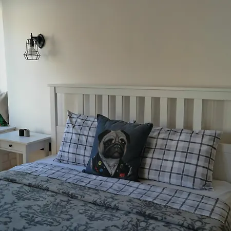 Pug Rooms-2