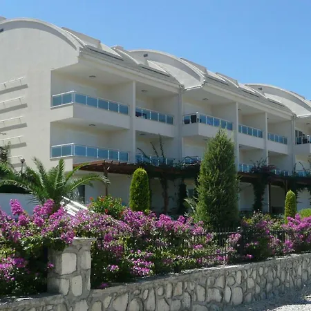 Lemon Grove-3