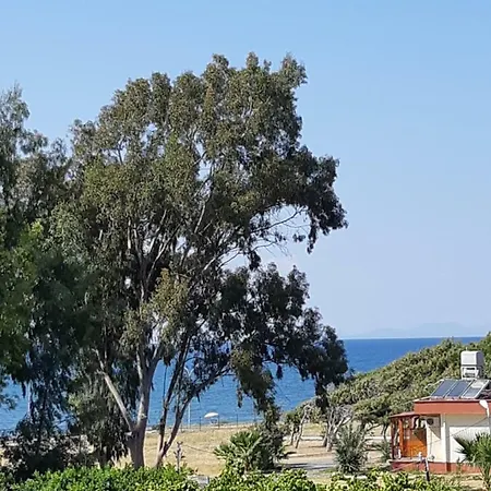 Duru Otel-2
