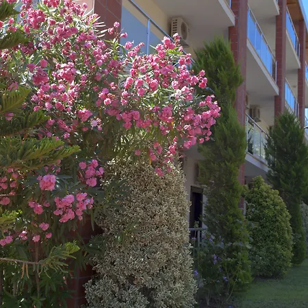 Palmira Hotel-2