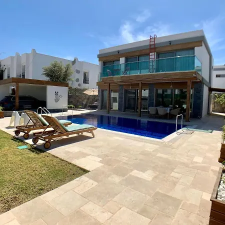 Ultra Luxury Private Villa With Swimming Pool-3