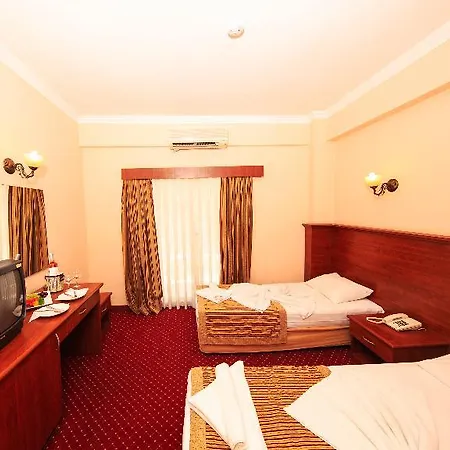 Millenium Palace-3