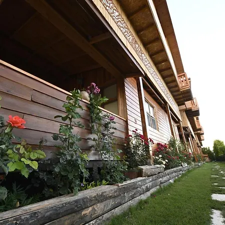 Dufa Bungalow Hotel-3