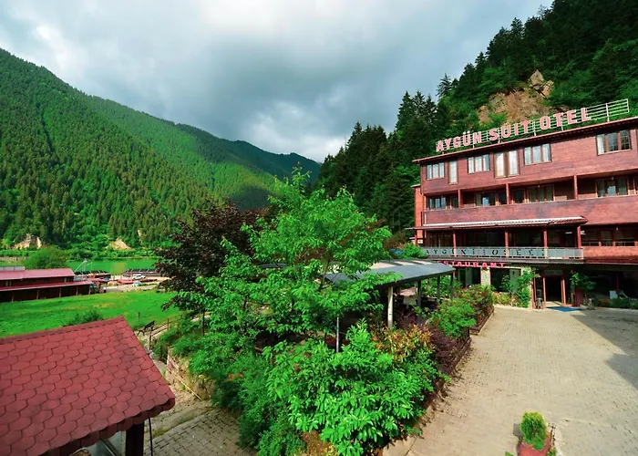 Hotels in Uzungöl