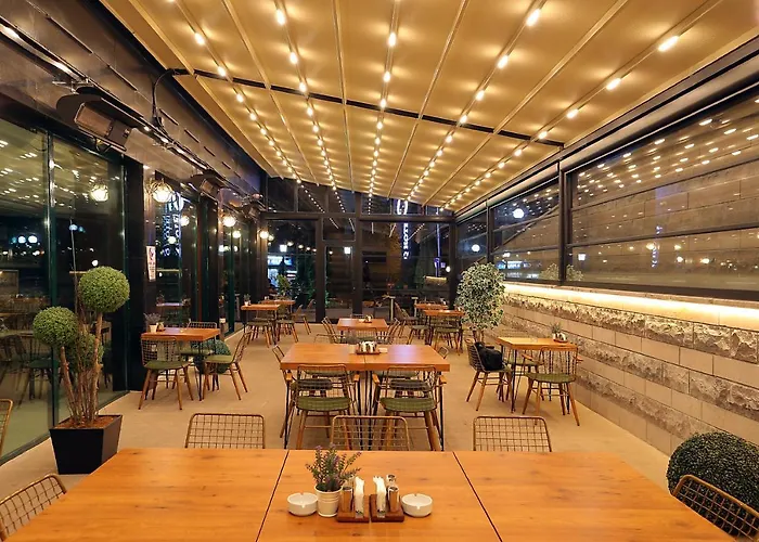 Huisdiervriedelijke Q Hotel Ankara