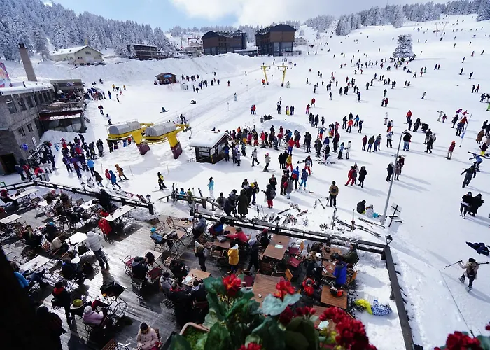 Le Chalet Yazici Uludağ