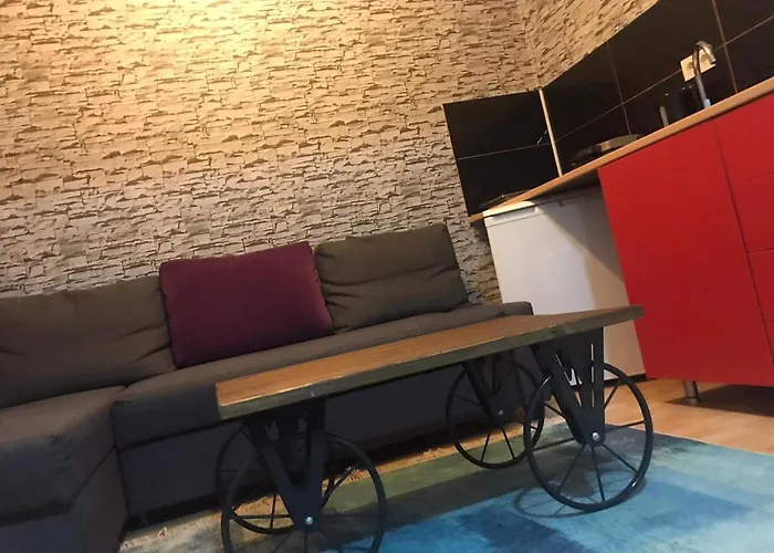 Hygienic Budget Accommodation Central 40 50 Square Meters With Garden Istanbul