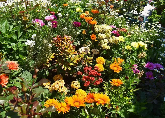Hotel Garden Terrace Стамбул