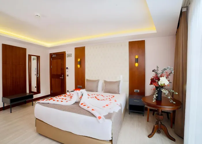 My Dream Istanbul Hotel admite animales