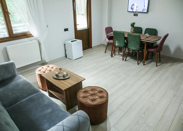 Elegant Residence Çamlıhemşin
