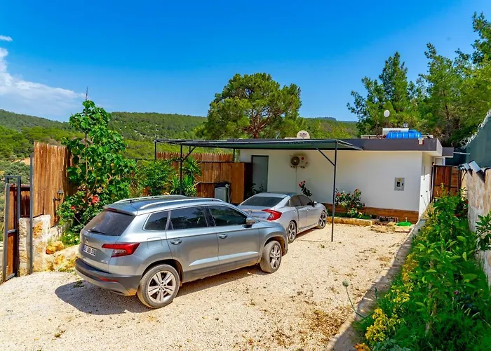 Pet friendly Villa Safira Patara Kas