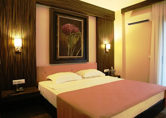 Huisdiervriedelijke Istankoy Hotel Kuşadası