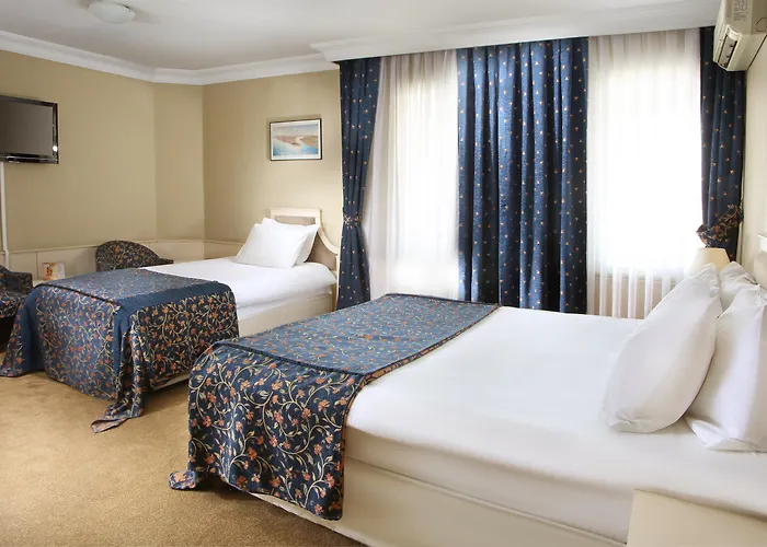 Berr Hotel Estambul admite animales