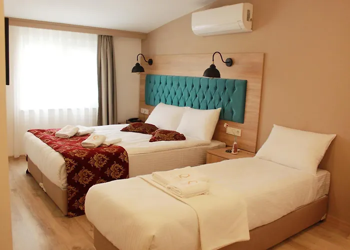 The Laila Hotel Estambul admite animales