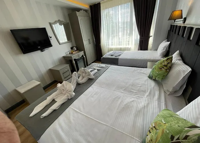 Old City Viva Hotel Estambul admite animales