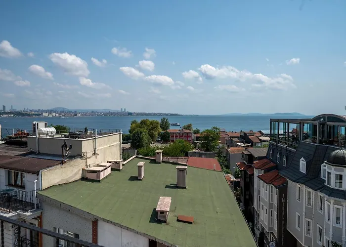 Osmanhan Hotel Estambul admite animales