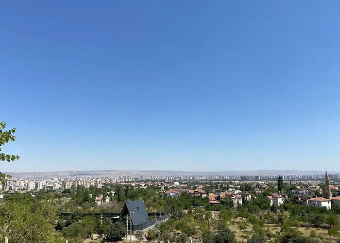 Huisdiervriedelijke Wooden Chalet With Panoramic View Of Kayseri Villa