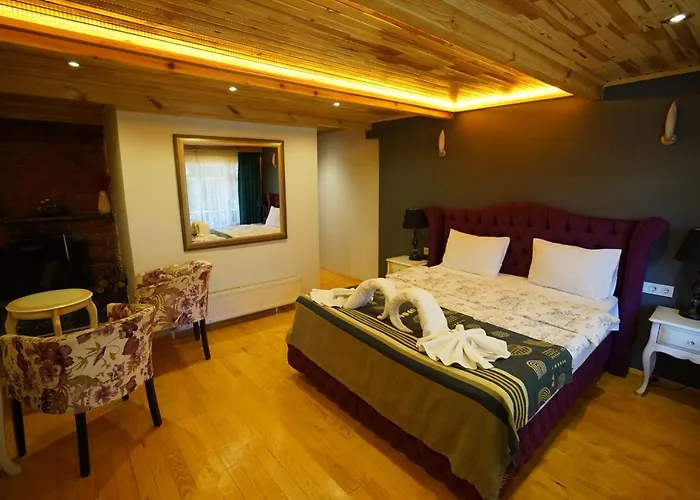 Alesta Butik Otel Ağva