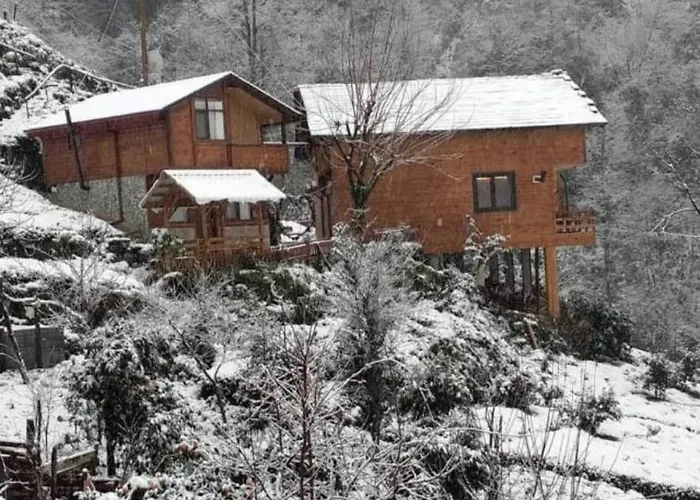 Avıtte Dağ Evlerı Rize