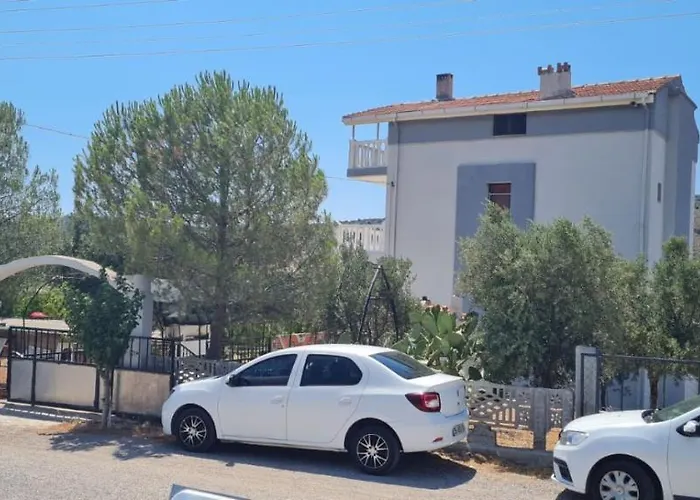 Oliven Ernte Und Baden Im Sandbucht Im November Alaçatı