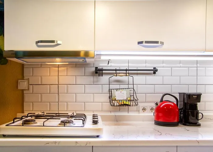 Huisdiervriedelijke Central And Colorful Studio Flat In Alsancak İzmir