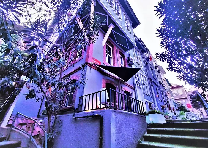 Dreamers V&V Hotel Cihangir Estambul admite animales