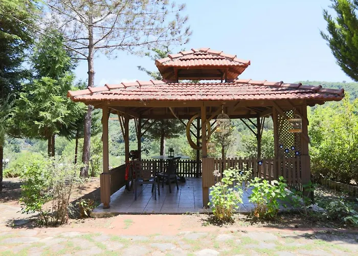 Serene House Surrounded By Nature In Beykoz Istambul privado