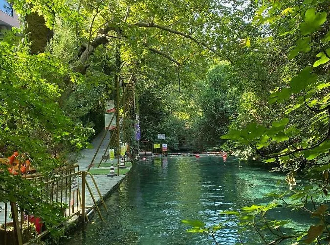 Yuvarlakcay Cinar Butik Otel Köyceğiz
