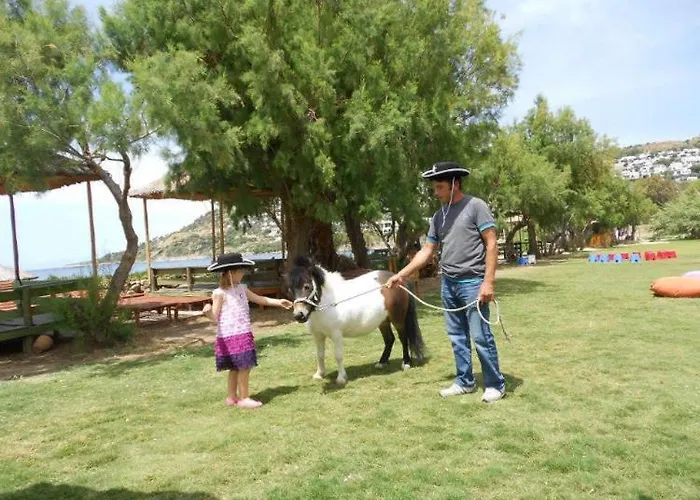 Equestrian And Beach Club Bodrum