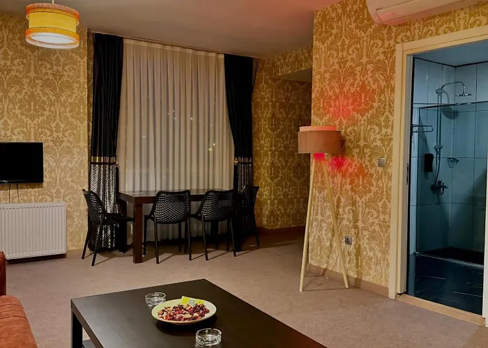 Bossuite Hotel Maltepe Estambul admite animales