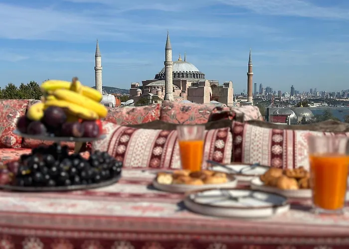World Heritage Center Hotel Istambul que aceita animais de estimação
