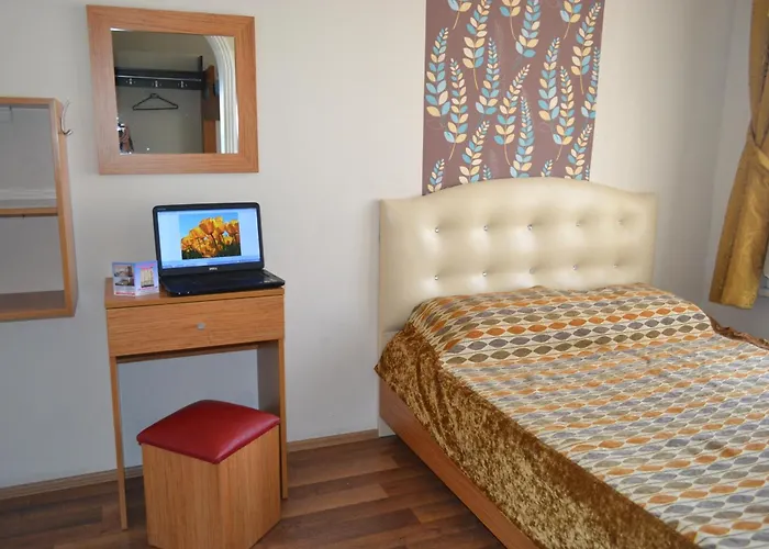 Second Home Hostel Estambul admite animales