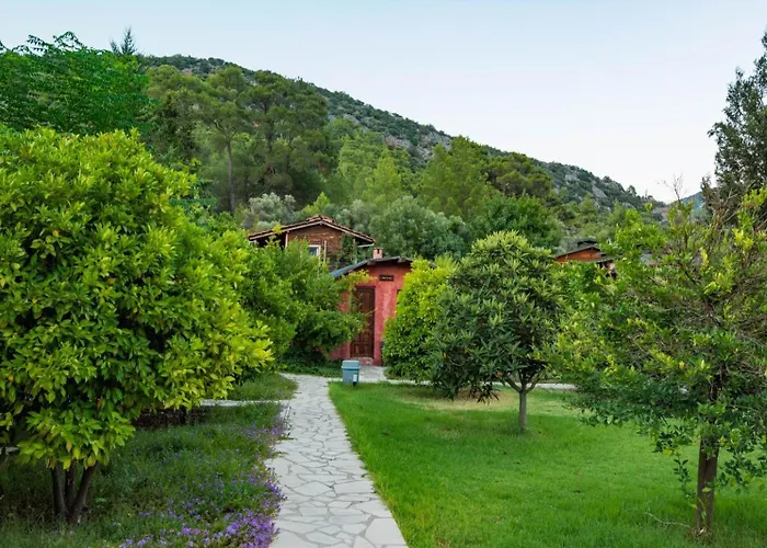 Hotels in Olympos
