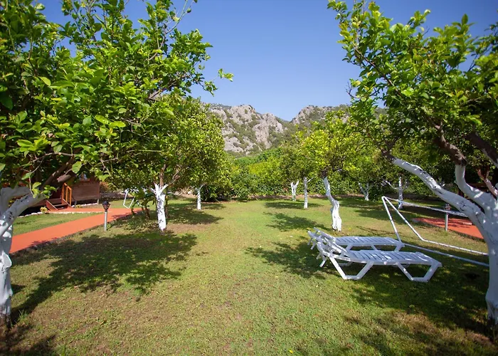Baris Pension & Bungalows Çıralı