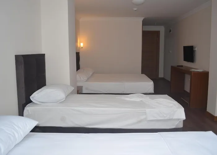Safir Hotel Estambul admite animales