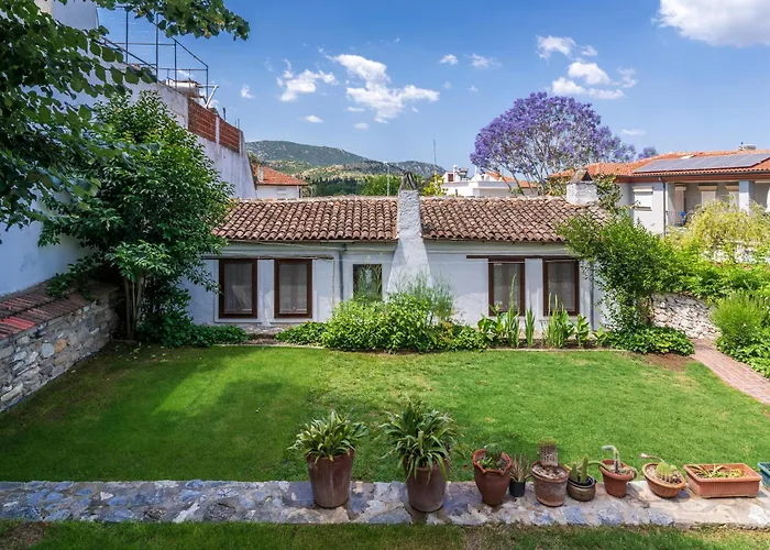 Pet friendly Goldsmith House Villa Selcuk