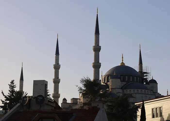 Galaxy Hotel Sultanahmet Estambul admite animales