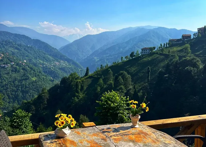 Serintepe Bungalov Yolkiyi