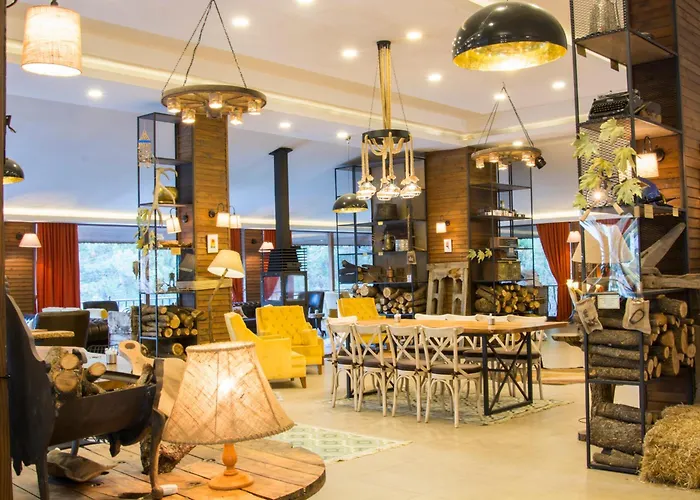 Hotels in Kızılcahamam