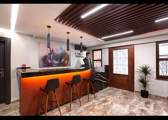 Room In Apartment - Luxury Suite Hotel Room Istambul