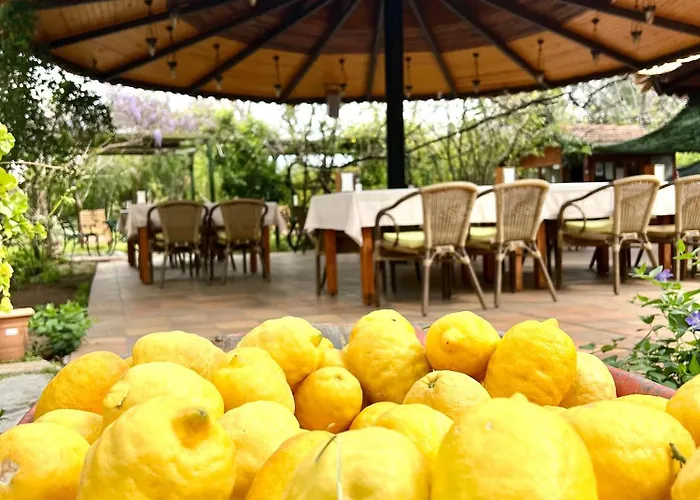 Myland Nature Çıralı