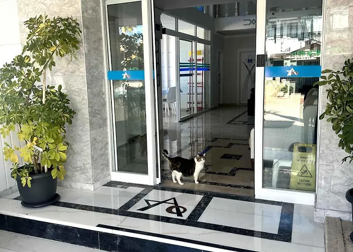 Haustierfreundliches Amsterdam Boutique Hotel Kemer