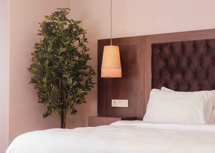 Phellos Suites Boutique Hotel Ağva