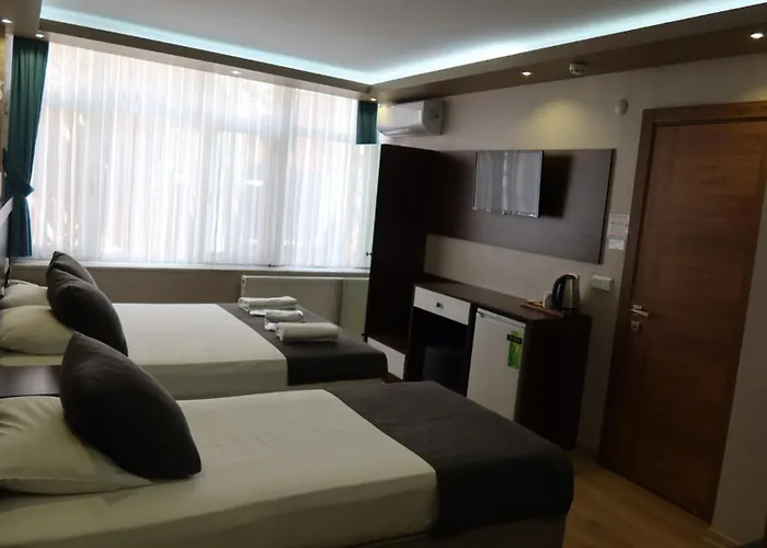Ueskuedar Otel Provincia di Provincia di Istanbul che accetta animali