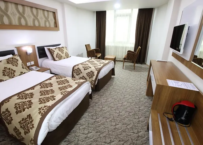 Afyon Grand Arı Hotel Afyonkarahisar