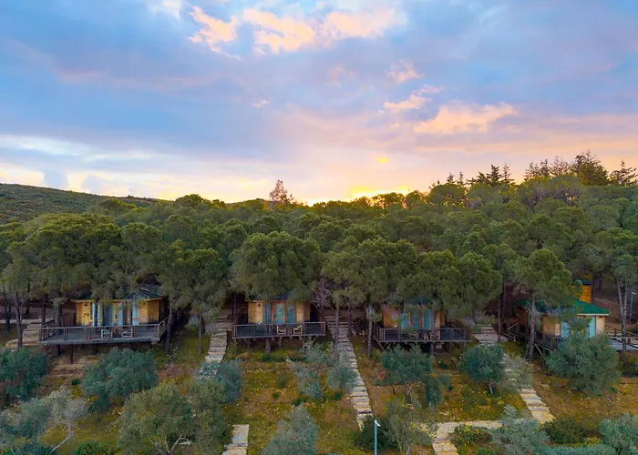 Kairos Valley Wellness & Longevity Datça