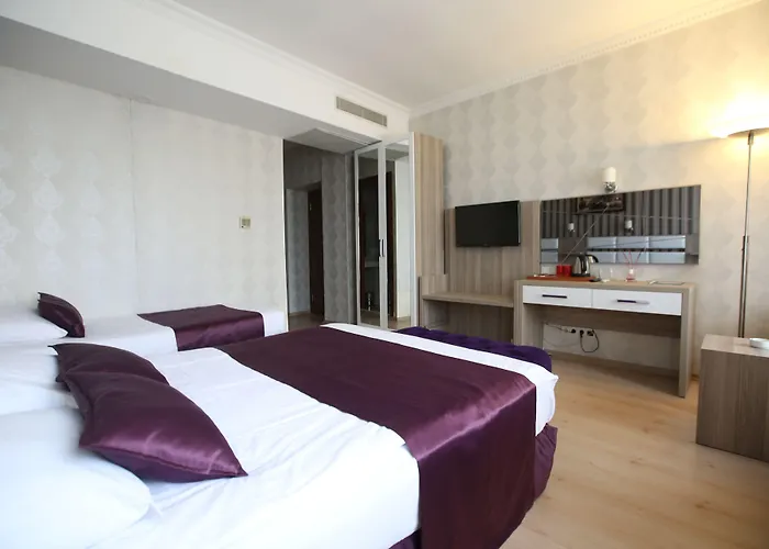 Nil Hotel Estambul admite animales